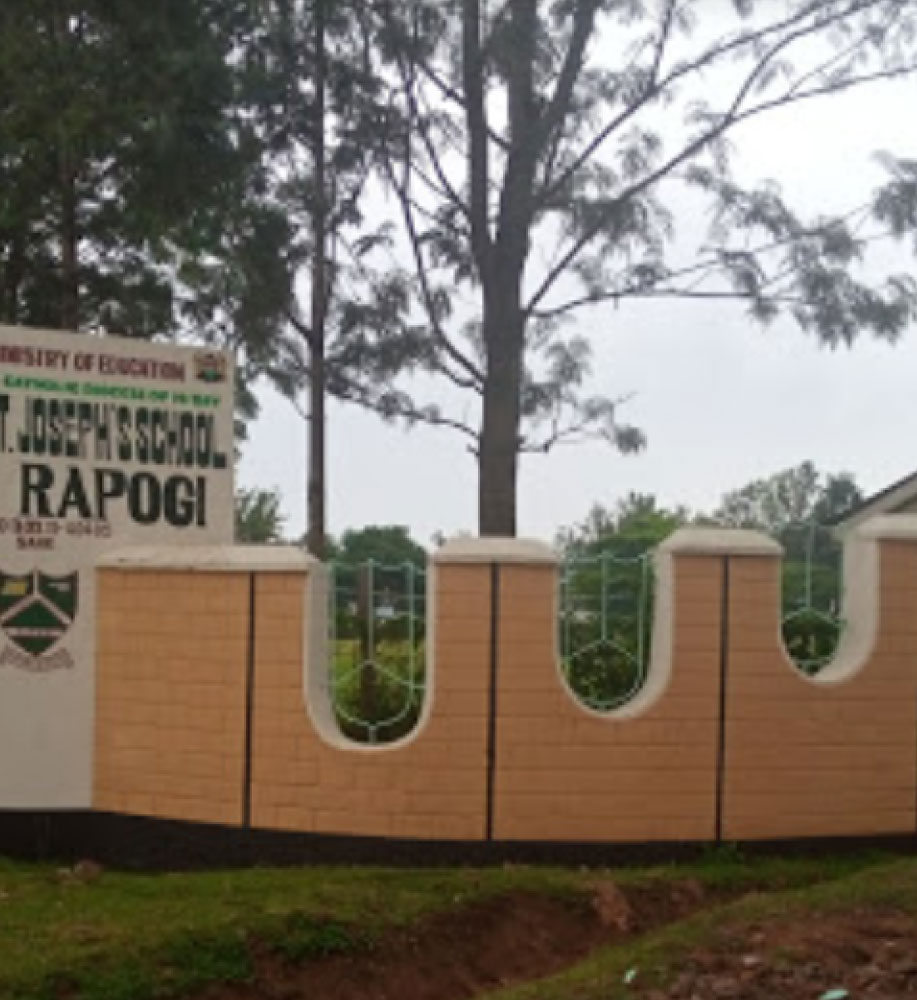 St Joseph Rapogi High School s CBE Subjects Senior Secondary Pathways 